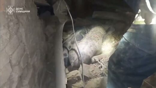 Ворожа атака по житловому сектору Сумщини призвела до загибелі та травмування мирного населення