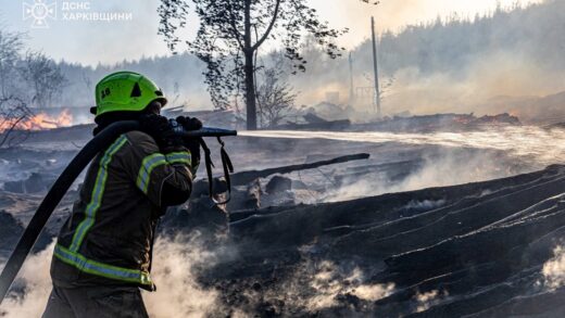 Новини України - Лісова пожежа поблизу Ізюма поширюється