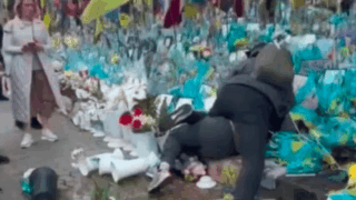 Новини Києва - У Києві жінка вчинила погром на Алеї Героїв