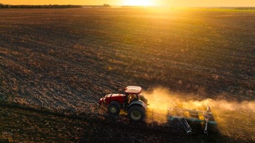 Новини бізнесу - Україна нині засіяла 87% ярих зернових та зернобобових від плану