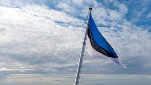 Новини світу - Естонія спорядила Україні нові боєприпаси