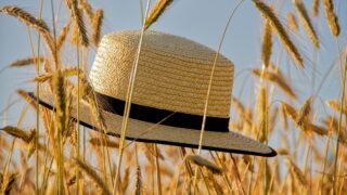 Новини культури - Гороскоп для всіх знаків зодіаку на 19 червня 2025 року