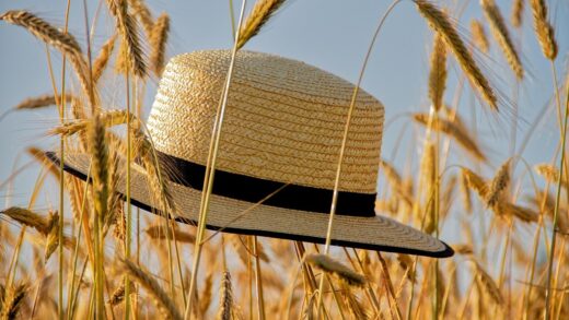 Новини культури - Гороскоп для всіх знаків зодіаку на 19 червня 2025 року
