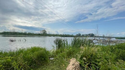 Новини України - На Київщині чоловік загинув від ураження струмом під час риболовлі