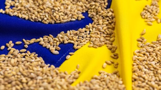 Новини бізнесу - Став відомий найбільший імпортер агропродукції України серед країн ЄС