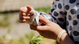 Новини України - У Дніпрі зросла кількість жертв ракетної атаки
