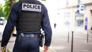Новини світу - У Франції поліція другу добу шукає удава, що втік з тераріуму