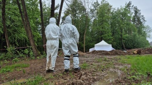 Новини України - У Кабміні попередили про фейк щодо ексгумації загиблих поляків