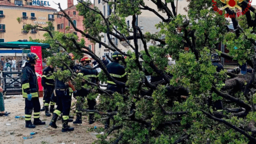Новини світу - У центрі Венеції 50-річне дерево впало на туристів