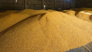 Новини бізнесу - Україна пригрозила санкціями Бангладеш