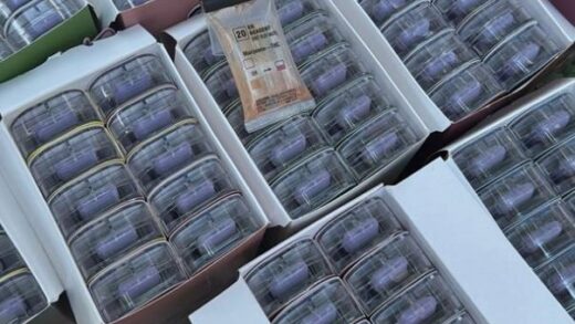 Новини України - В Україні викрили міжнародний канал наркопостачання