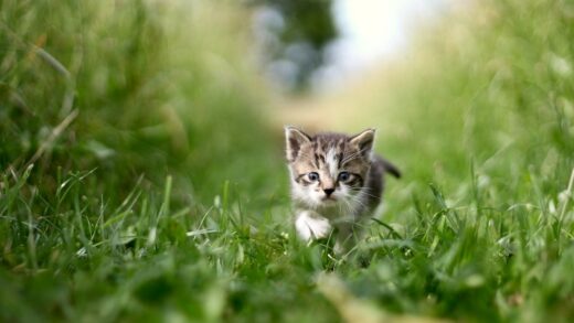 Новини культури - Гороскоп для всіх знаків зодіаку на 8 липня 2025 року