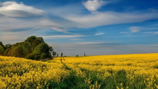 Новини культури - Гороскоп для всіх знаків зодіаку на 9 липня 2025 року