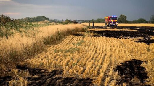 Новини України - На Миколаївщині вигоріло 70 гектарів пшениці
