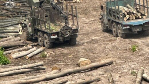 Новини України - Повідомлено про підозри 13 працівникам Ліси України та ЛІАЦ