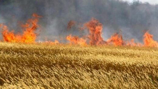 Новини України - Росіяни вдарили по Кіровоградщині: виникла пожежа