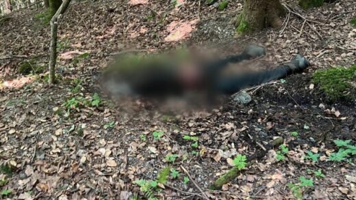 Новини України - Рятувальники виявили тіло людини у горах поблизу кордону з Румунією
