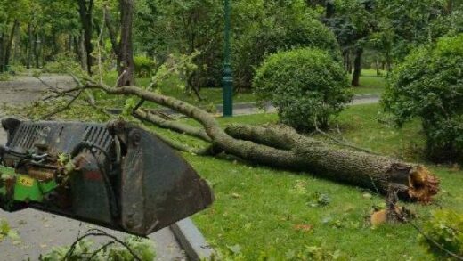 Новини України - У Харкові вітер повалив майже 450 дерев - мер