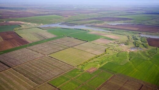 Новини бізнесу - Україна з початку року отримала 527 млн грн від оренди земель