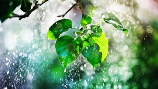 Новини України - В Україні чергуватимуться грози зі спекою до +37°