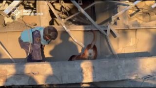 Запоріжжя: внаслідок ворожого удару постраждали 12 людей, одну особу врятували надзвичайники