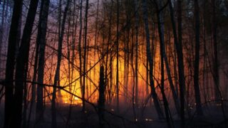 Новини світу - Іспанія у вогні: вирують масштабні лісові пожежі