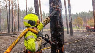 Новини України - На Харківщині ліквідували масштабну лісову пожежі