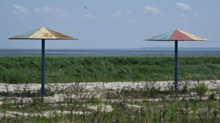 Новини України - Територію Каховське водосховище регулярно охоплює вогонь - Держекоінспекція