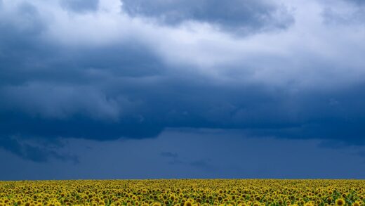 Новини України - В Україні прогнозують до +33°, подекуди грози та град
