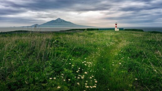 Новини культури - Гороскоп для всіх знаків зодіаку на 4 вересня 2025 року