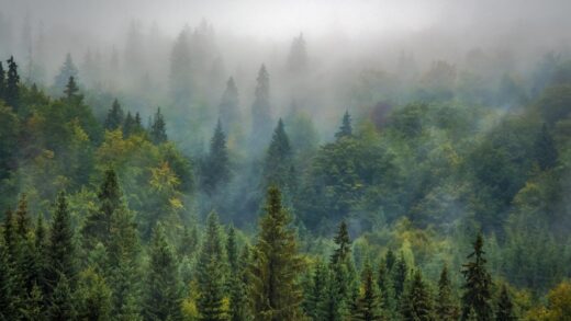 Новини культури - Гороскоп для всіх знаків зодіаку на 5 вересня 2025 року