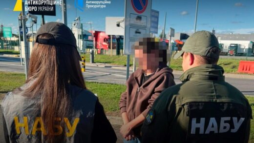 Новини України - Німеччина екстрадувала українку за махінації з землею на Закарпатті