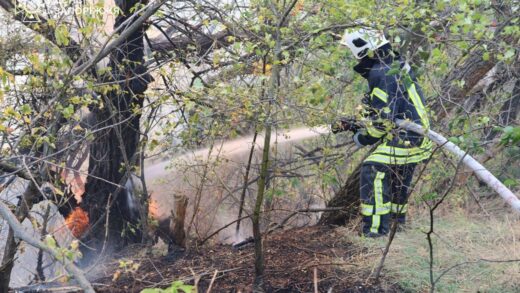 Новини України - Рятувальники другу добу гасять пожежу на Хортиці