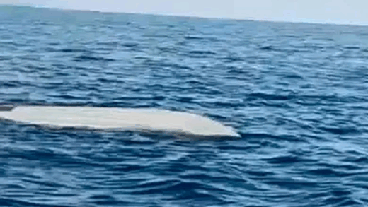 Новини світу - Біля берегів Туреччини виявили морський дрон