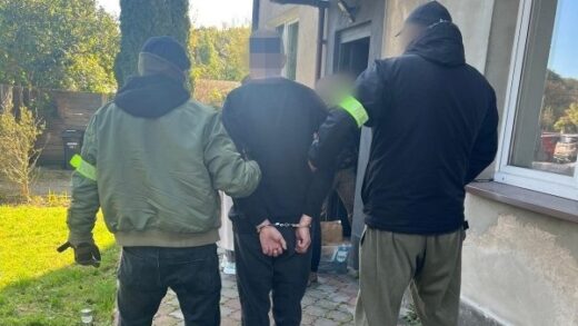 Новини світу - У Польщі викрили палія авто з українськими номерами