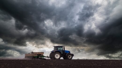 Новини бізнесу - Українські аграрії засіяли 74% озимих культур