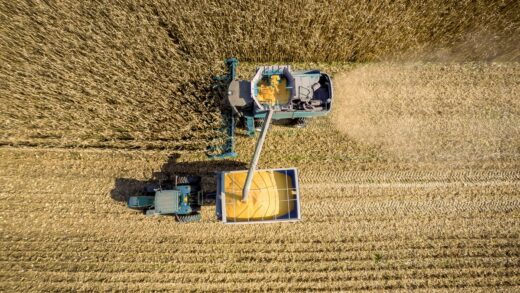 Новини бізнесу - В Україні обмолочено 73% зернових площ