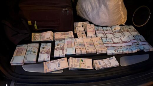 Новини України - В Україні викрили схему "тіньової" вирубки дубів на десятки мільйонів