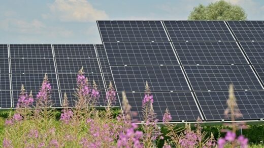 Технології - Відновлювана енергія у світі вперше обігнала вугілля за обсягом генерації
