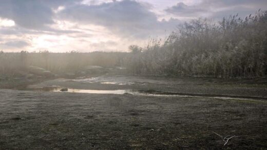 Новини України - На Донеччині обміліла річка Кальміус через дії росіян - ЦВО