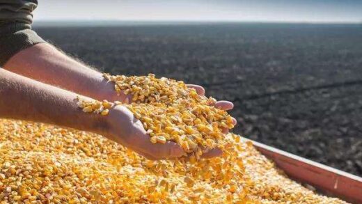 Новини бізнесу - Україна наростила експорт агропродукції