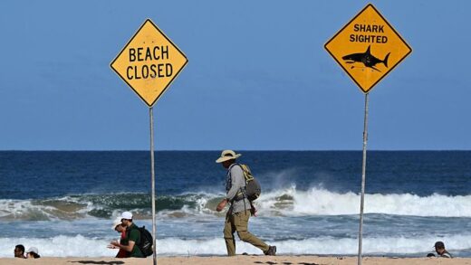 Новини світу - В Австралії акула напала на спортсменів, є жертви