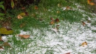 Новини України - Відомо, де дощитиме та сніжитиме в найближчі дві доби в Україні