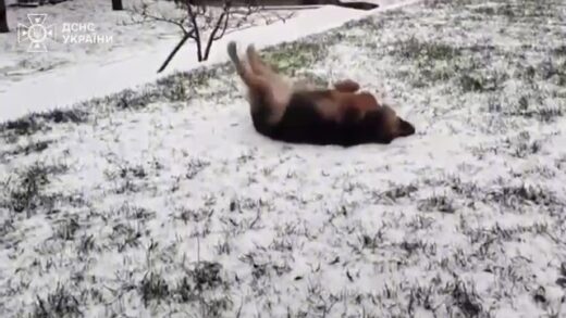 Життя сильніше за війну, а любов здатна на справжні дива!