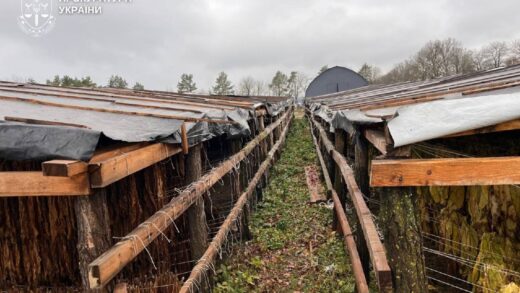 Новини України - На Хмельниччині викрили підпільне виробництво тютюну