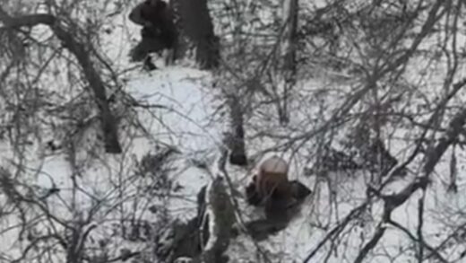 Новини України - Росіяни розстріляли двох полонених на Донеччині