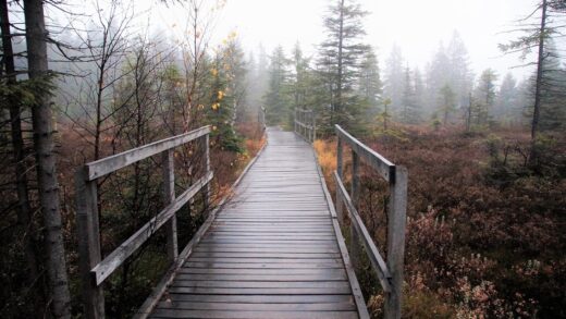 Новини України - Синоптики розповіли, якою буде погода в Україні на вихідних