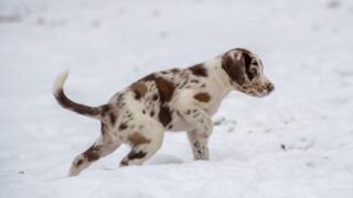 Новини культури - Гороскоп для всіх знаків зодіаку на 14 січня 2026 року