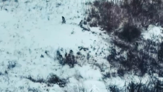 Новини України - ЗСУ показали відбиття російського штурму на Харківщині